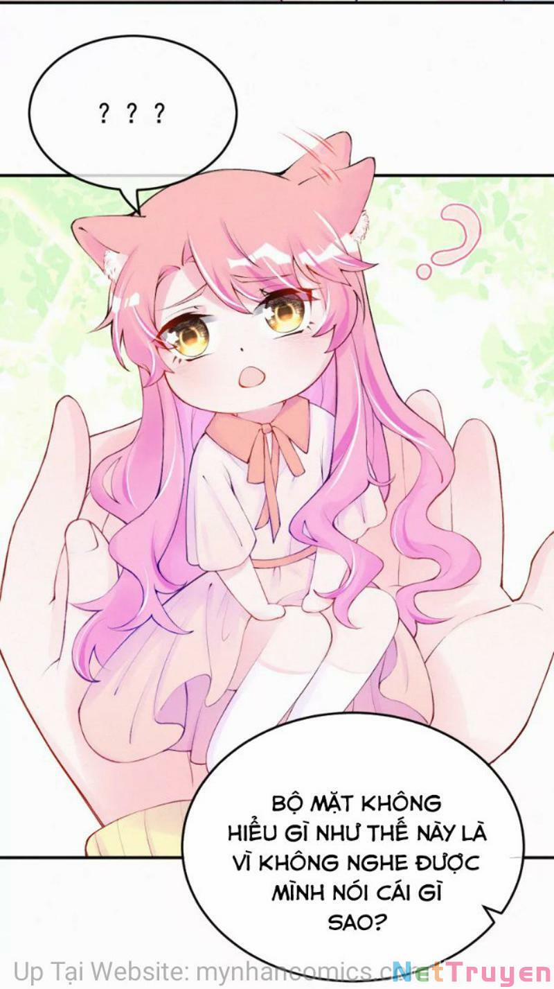 Mami Đột Kích, Thiên Tài Manh Bảo Khốc Daddy 102.1 trang 9