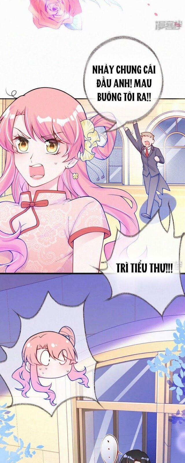 Mami Đột Kích, Thiên Tài Manh Bảo Khốc Daddy 9 trang 7