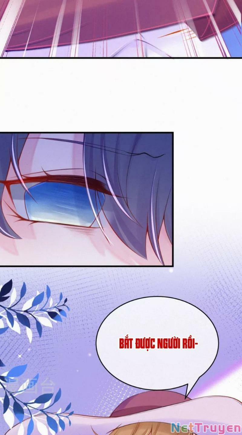 Mami Đột Kích, Thiên Tài Manh Bảo Khốc Daddy 94 trang 13