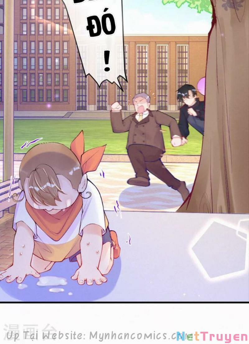 Mami Đột Kích, Thiên Tài Manh Bảo Khốc Daddy 95 trang 8