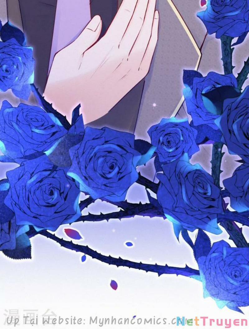 Mami Đột Kích, Thiên Tài Manh Bảo Khốc Daddy 97 trang 21