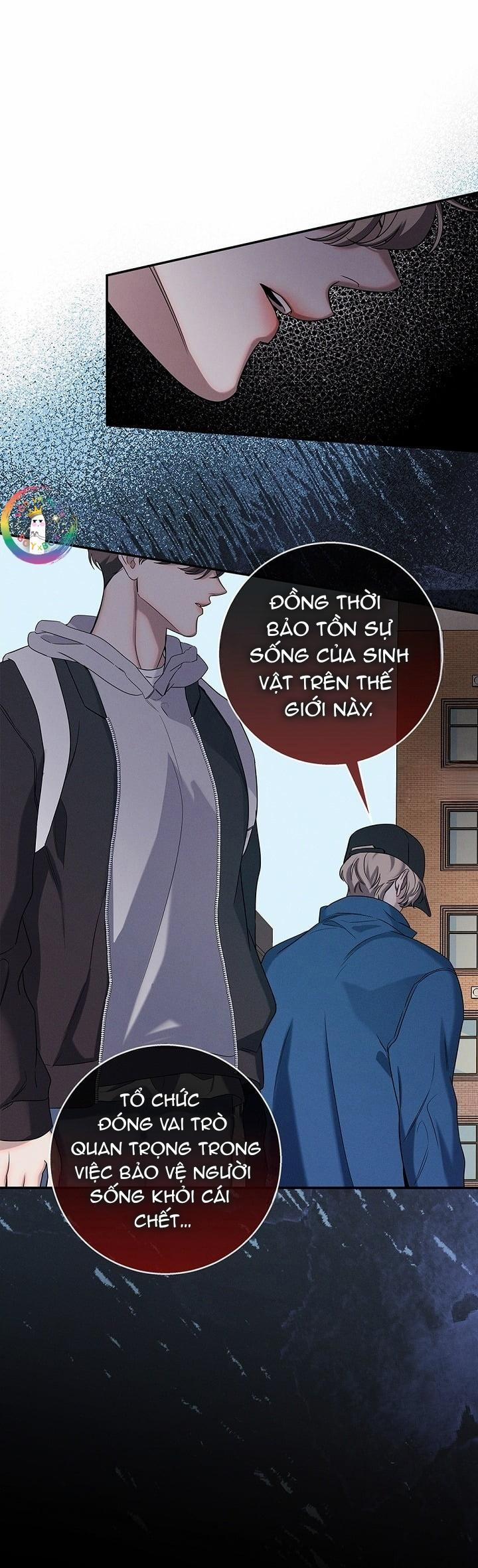 Màn Đêm Không Lối 14 trang 15