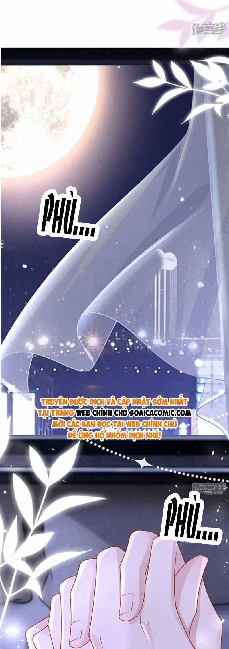 Manh Bảo Của Tôi Là Liêu Cơ 191 trang 8