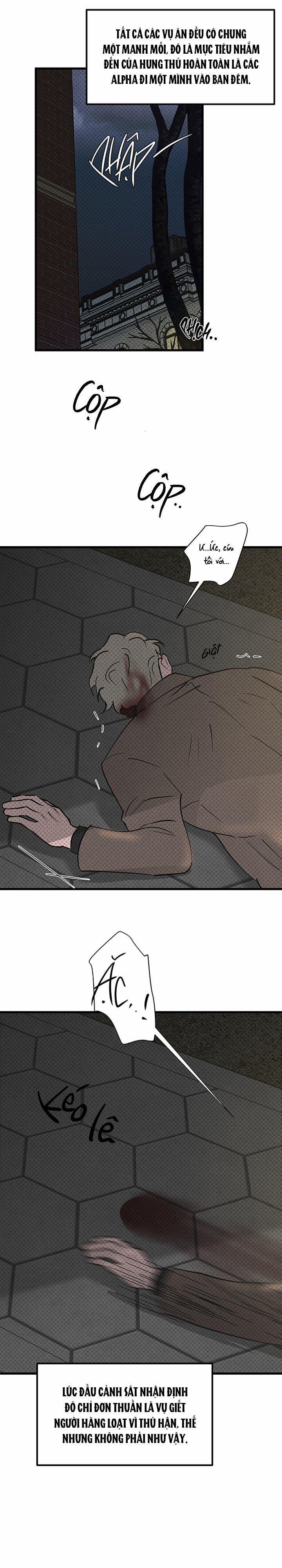 Mảnh Ghép Hoàn Hảo 1 trang 13