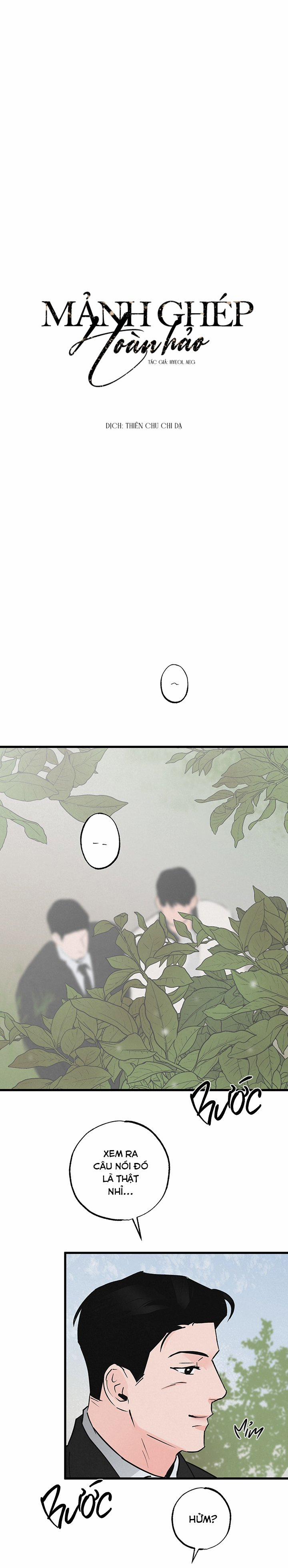 Mảnh Ghép Hoàn Hảo 1 trang 9