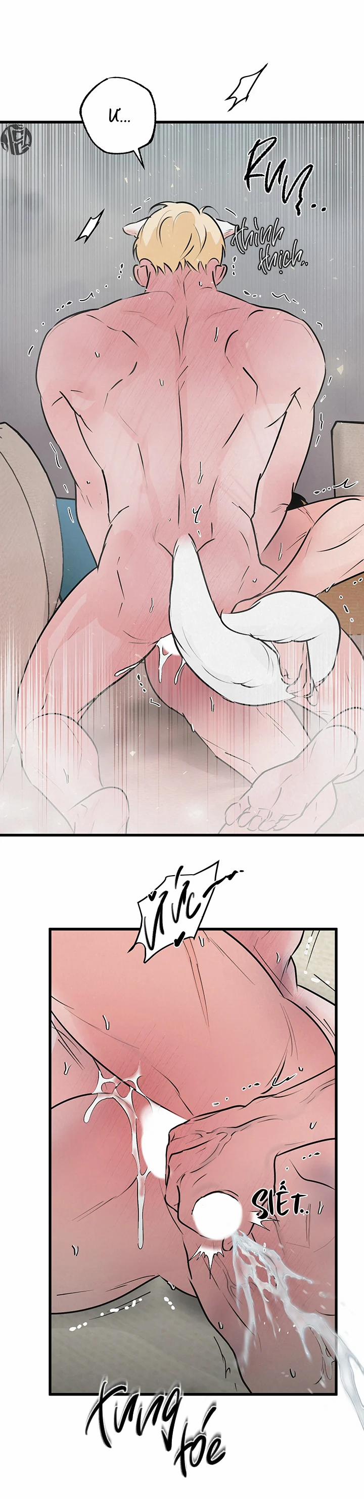 Mảnh Ghép Hoàn Hảo 10 trang 15