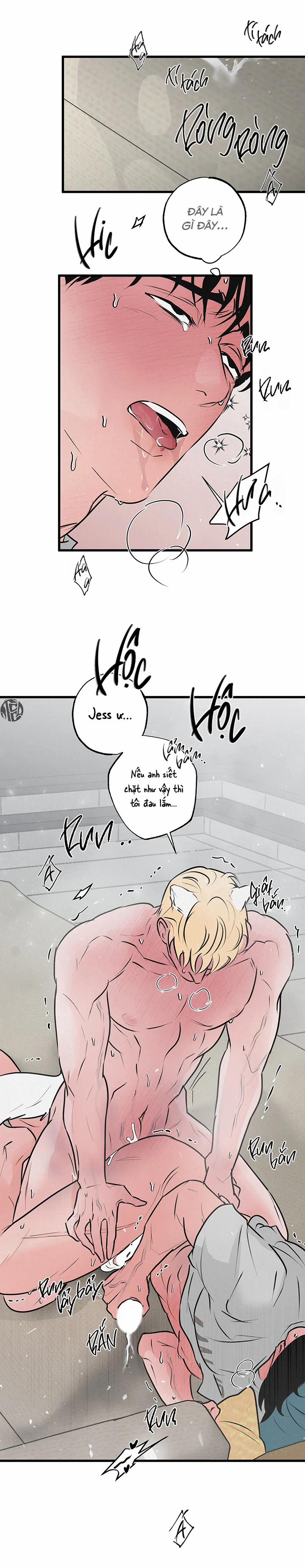 Mảnh Ghép Hoàn Hảo 10 trang 16