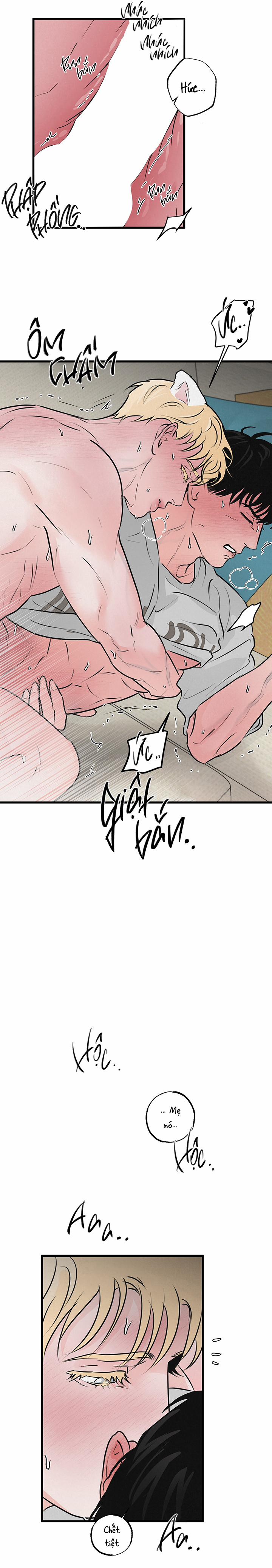 Mảnh Ghép Hoàn Hảo 10 trang 19