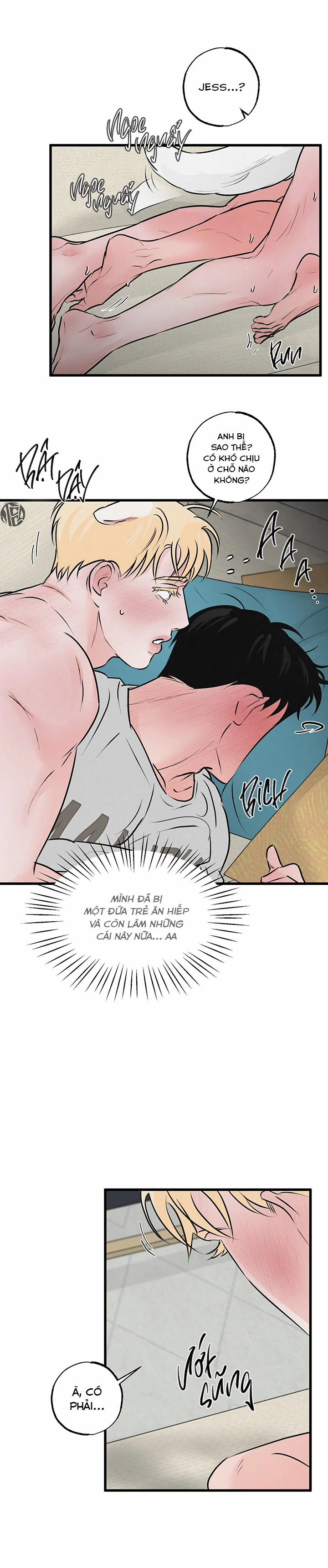 Mảnh Ghép Hoàn Hảo 10 trang 20