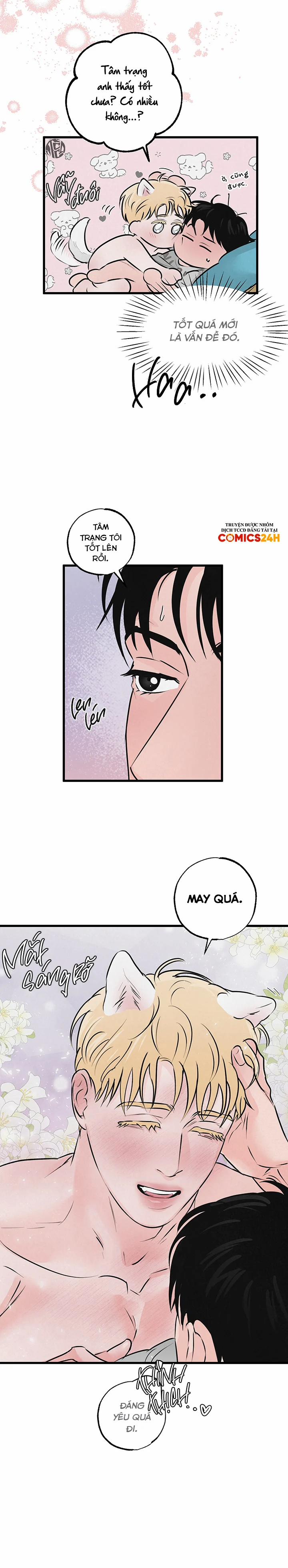 Mảnh Ghép Hoàn Hảo 10 trang 22