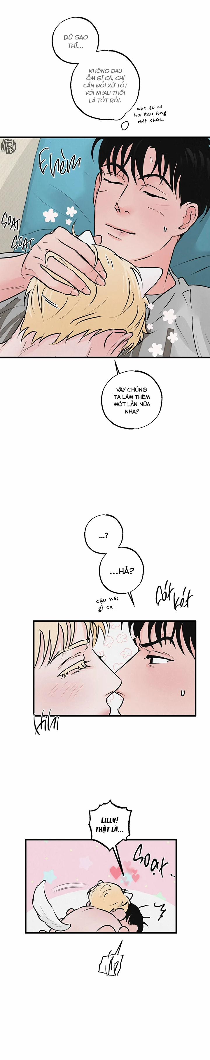 Mảnh Ghép Hoàn Hảo 10 trang 23