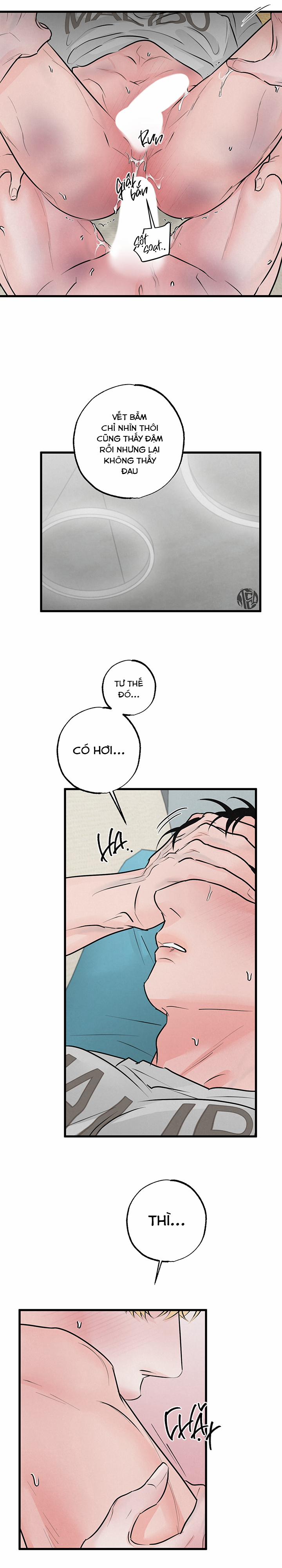 Mảnh Ghép Hoàn Hảo 10 trang 5