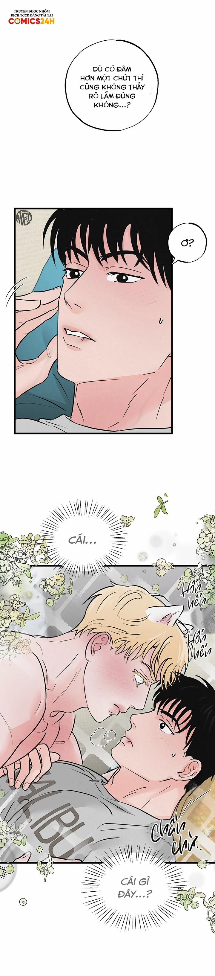 Mảnh Ghép Hoàn Hảo 10 trang 6