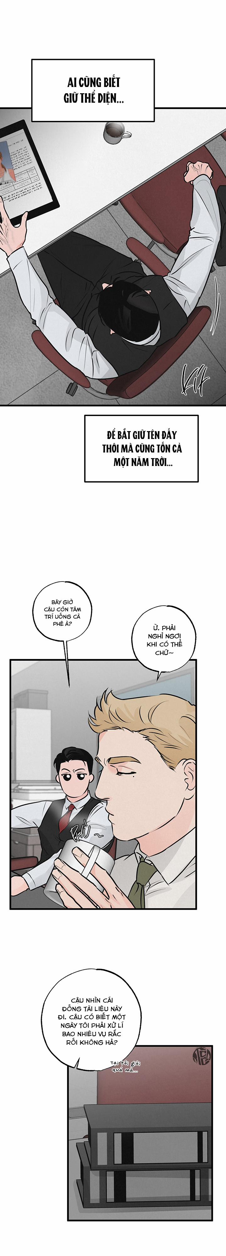 Mảnh Ghép Hoàn Hảo 11 trang 19
