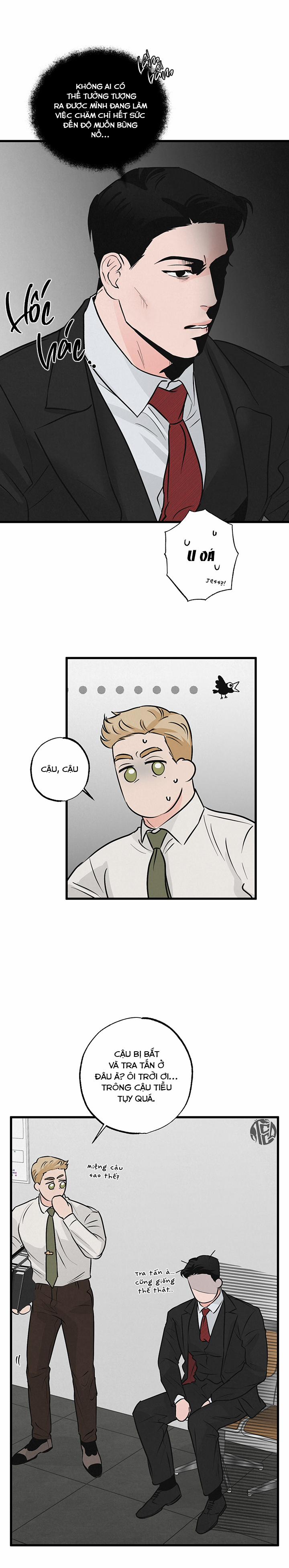 Mảnh Ghép Hoàn Hảo 11 trang 5