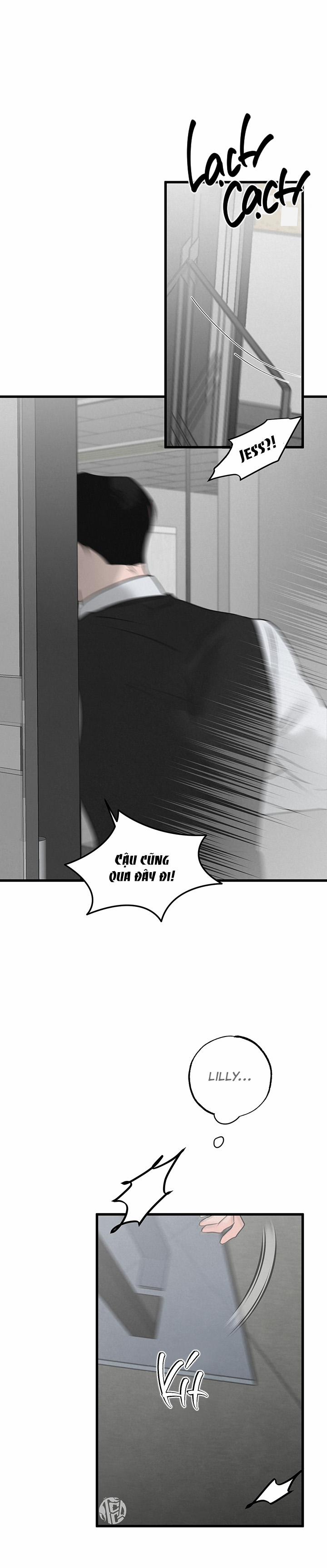 Mảnh Ghép Hoàn Hảo 12 trang 2