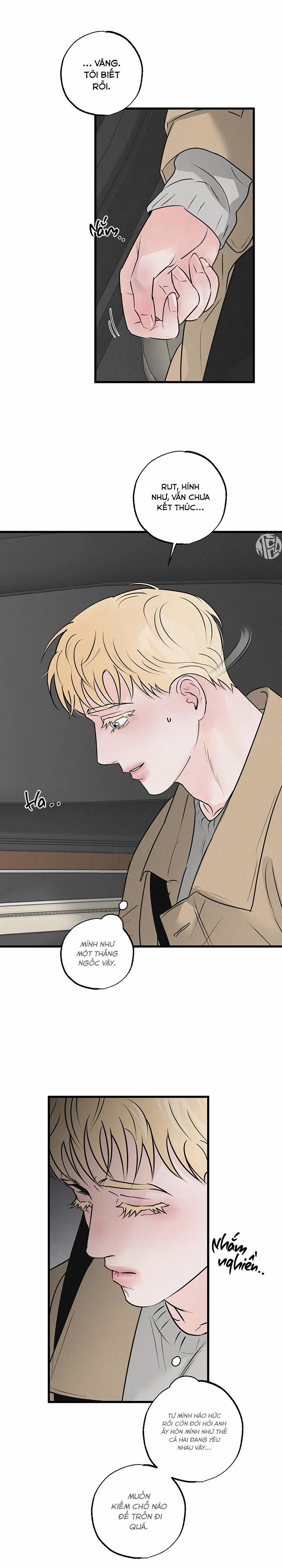 Mảnh Ghép Hoàn Hảo 13 trang 10