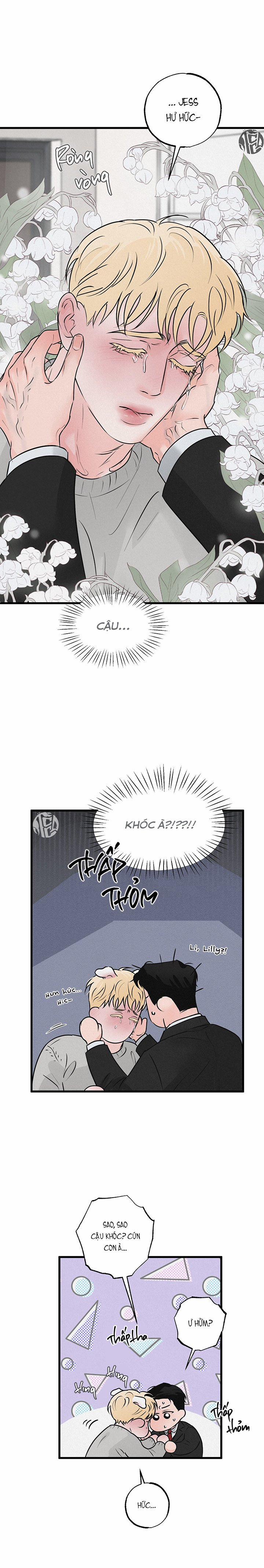 Mảnh Ghép Hoàn Hảo 13 trang 20