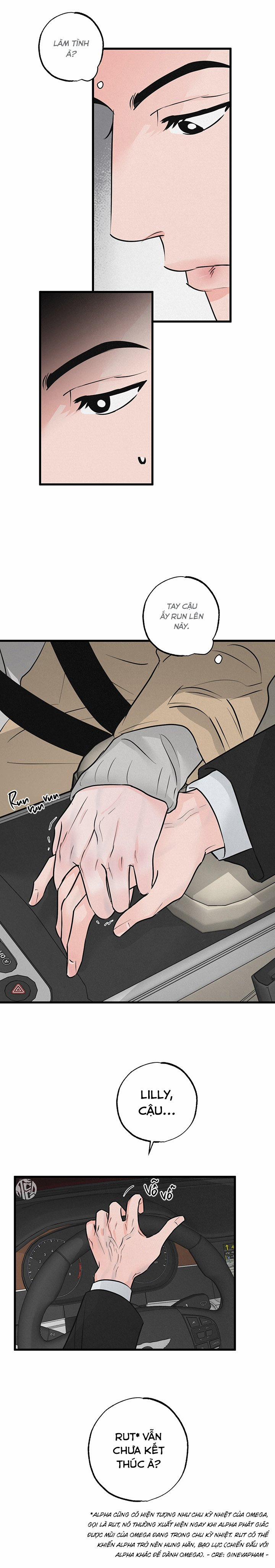 Mảnh Ghép Hoàn Hảo 13 trang 8