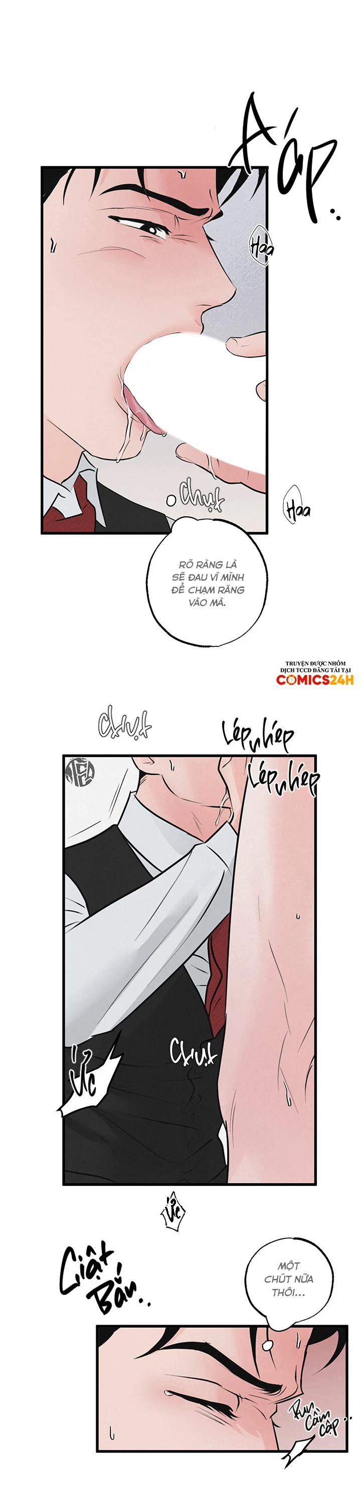 Mảnh Ghép Hoàn Hảo 14 trang 10