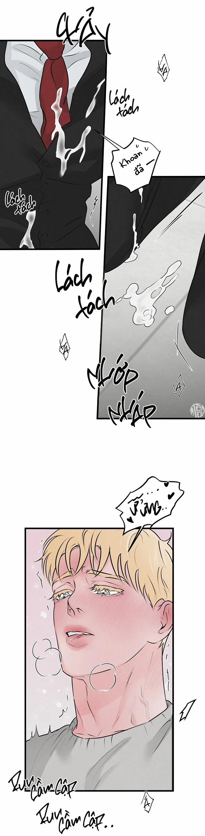 Mảnh Ghép Hoàn Hảo 14 trang 14
