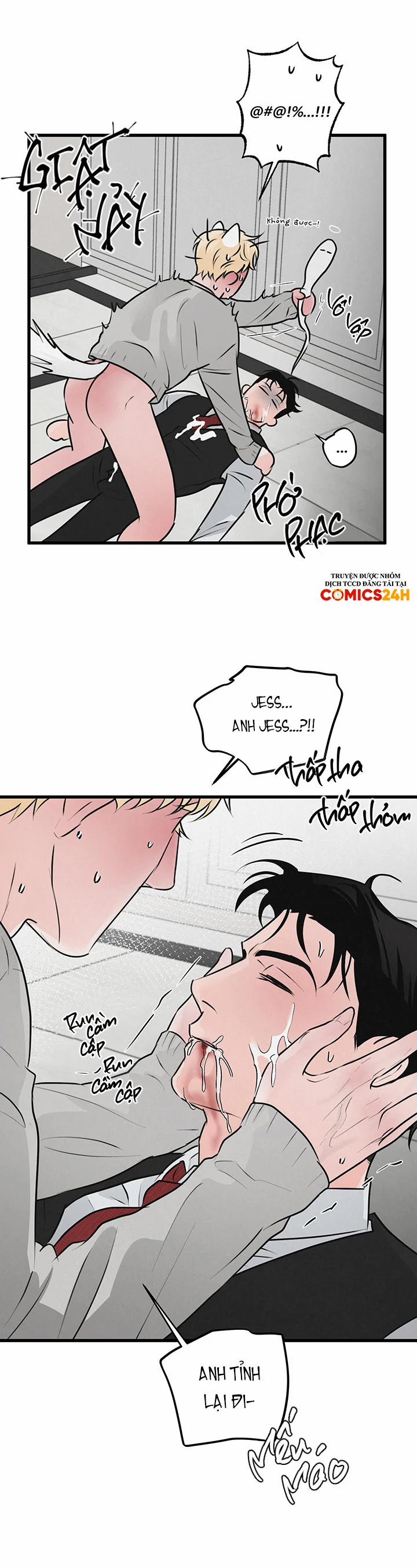 Mảnh Ghép Hoàn Hảo 14 trang 28