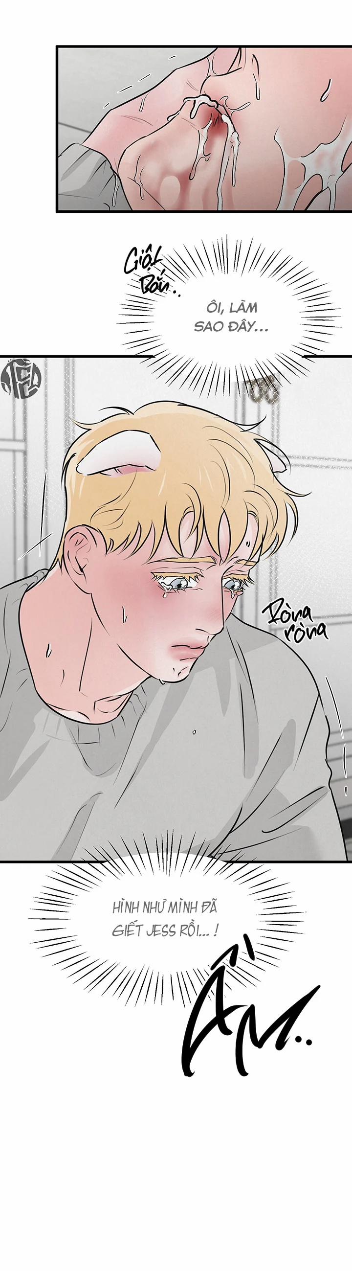 Mảnh Ghép Hoàn Hảo 14 trang 29