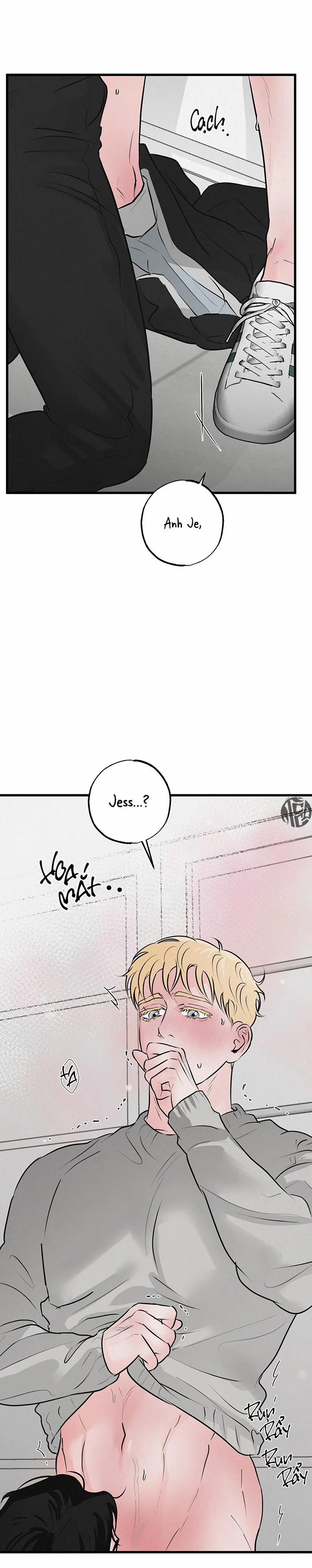 Mảnh Ghép Hoàn Hảo 14 trang 3