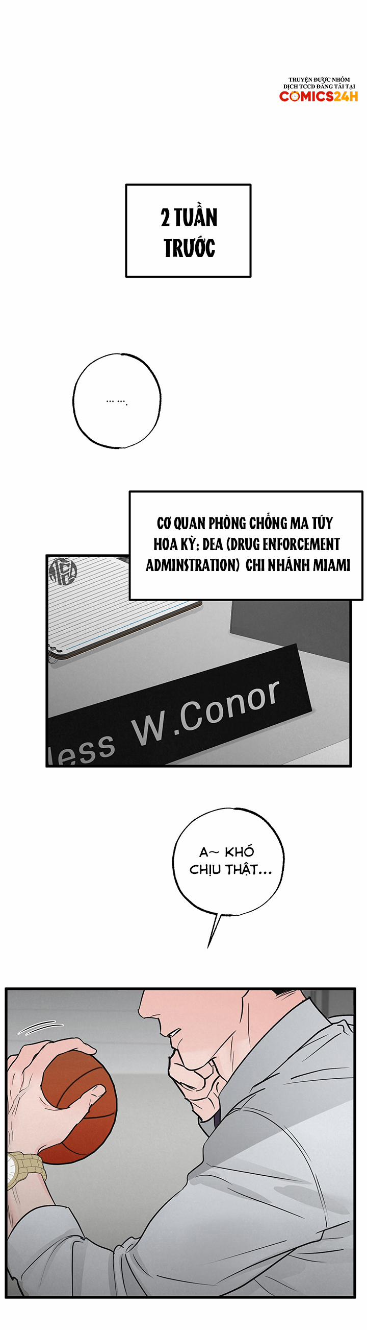 Mảnh Ghép Hoàn Hảo 2 trang 2