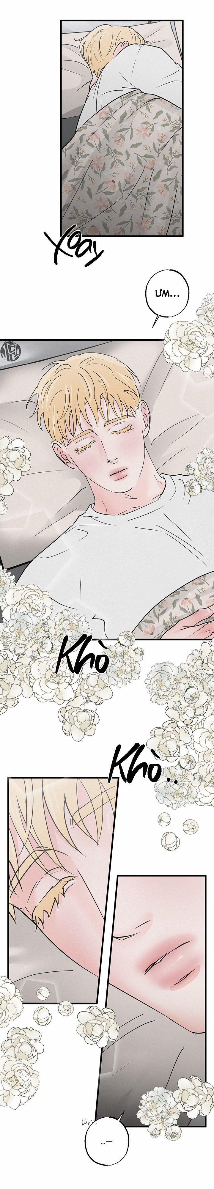 Mảnh Ghép Hoàn Hảo 3 trang 11