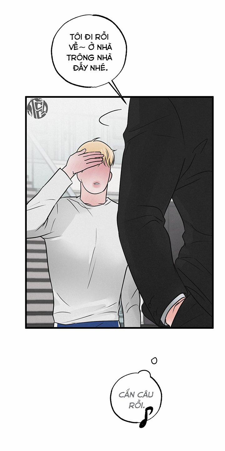 Mảnh Ghép Hoàn Hảo 3 trang 22