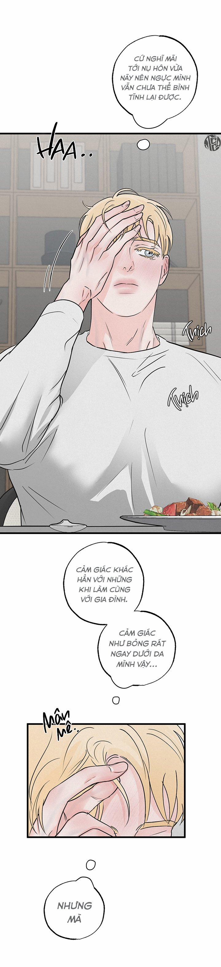 Mảnh Ghép Hoàn Hảo 4 trang 5