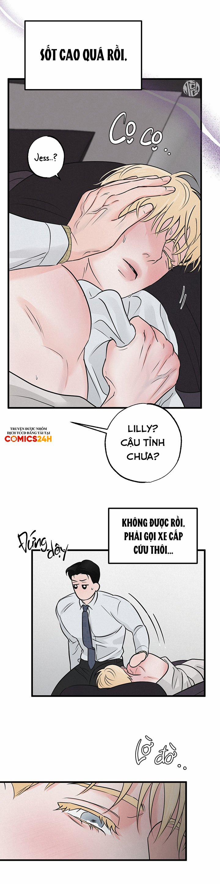 Mảnh Ghép Hoàn Hảo 5 trang 14