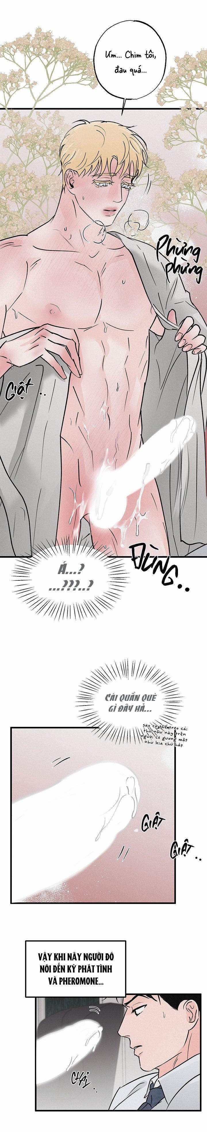 Mảnh Ghép Hoàn Hảo 5 trang 19