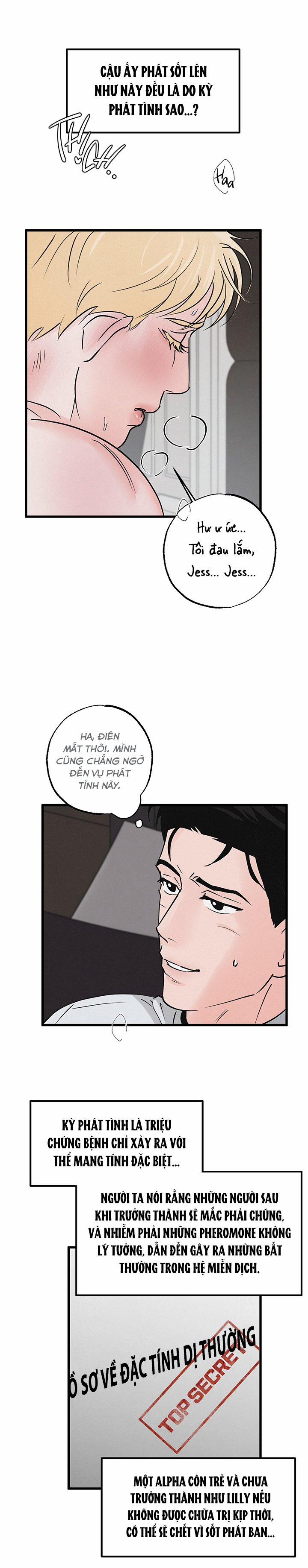 Mảnh Ghép Hoàn Hảo 5 trang 20