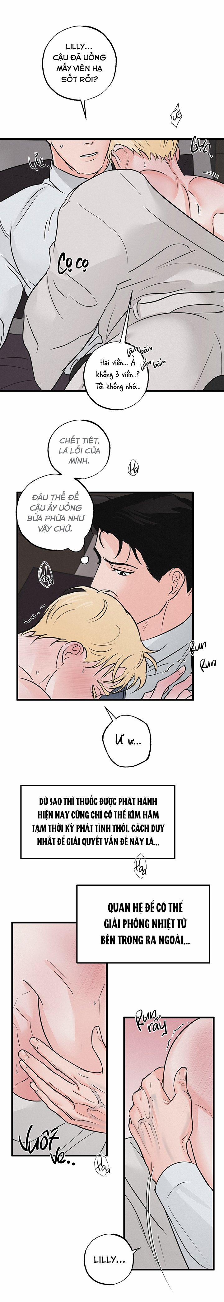 Mảnh Ghép Hoàn Hảo 5 trang 21