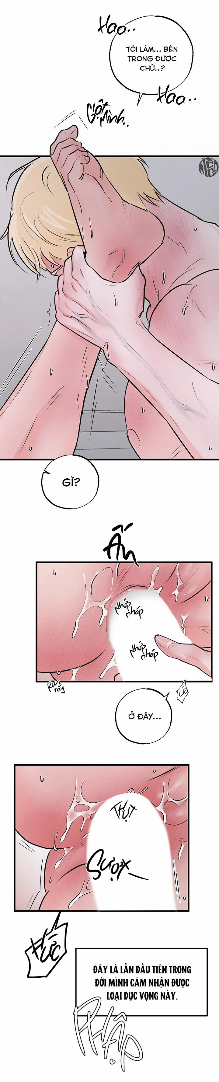 Mảnh Ghép Hoàn Hảo 6 trang 11