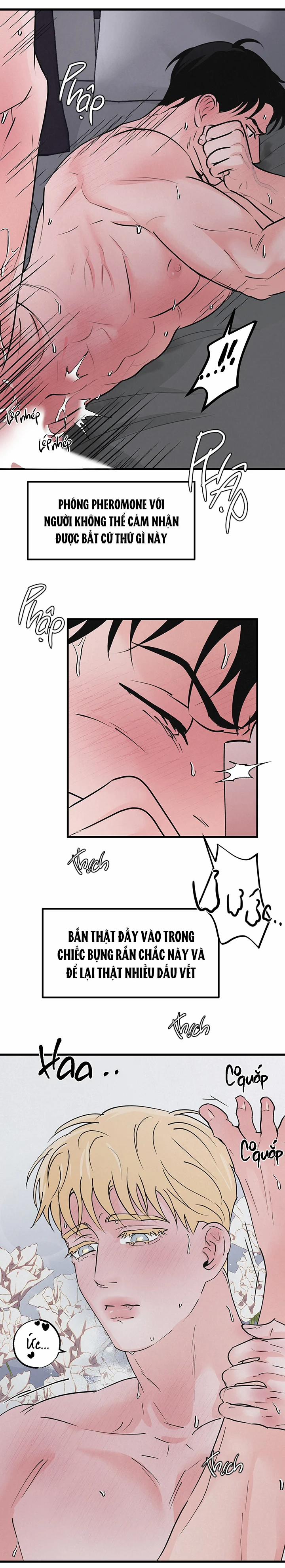 Mảnh Ghép Hoàn Hảo 6 trang 12