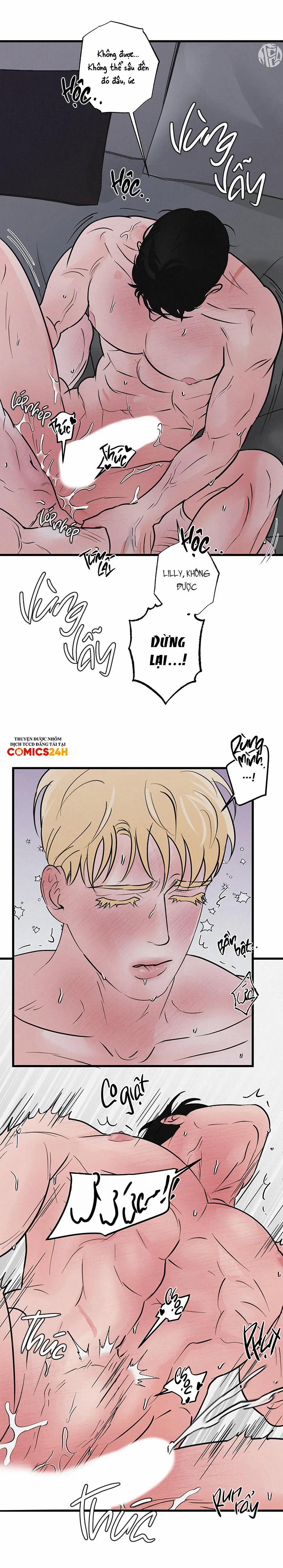 Mảnh Ghép Hoàn Hảo 6 trang 24