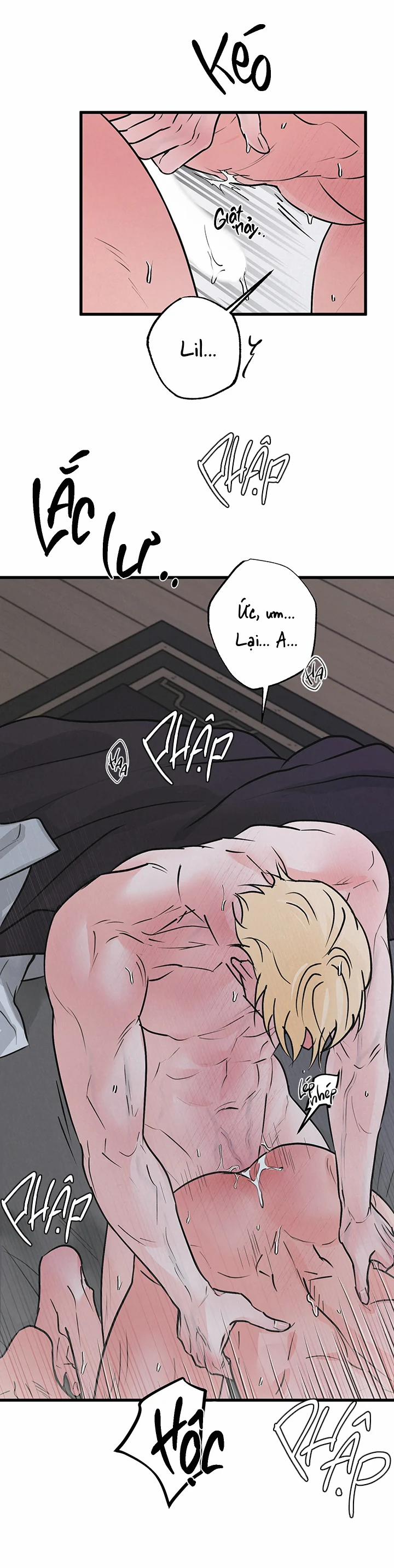 Mảnh Ghép Hoàn Hảo 6 trang 5