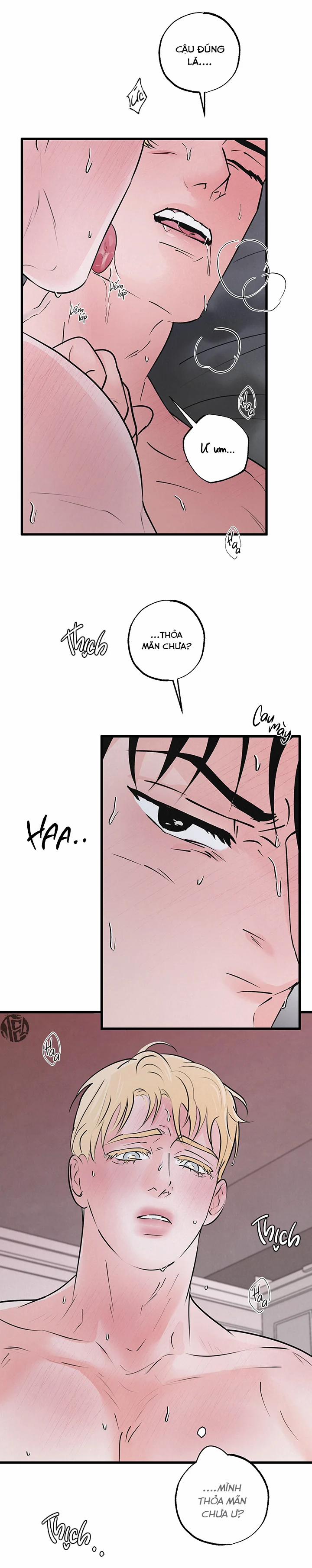 Mảnh Ghép Hoàn Hảo 6 trang 8