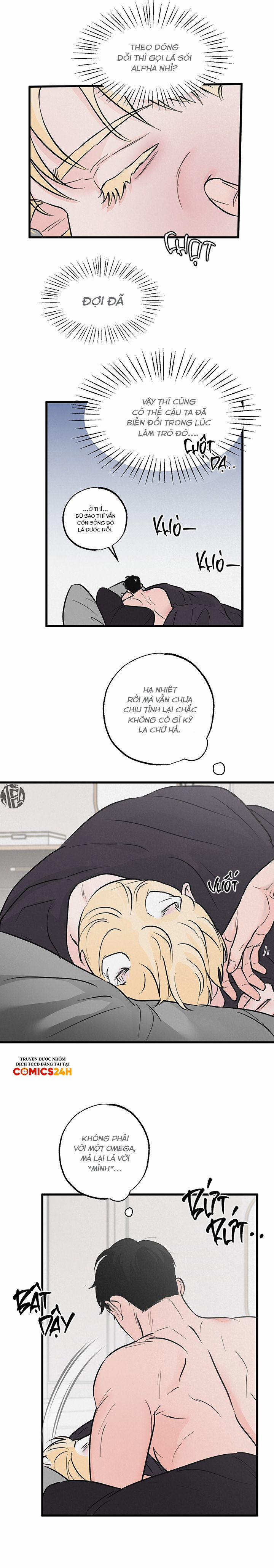 Mảnh Ghép Hoàn Hảo 7 trang 15