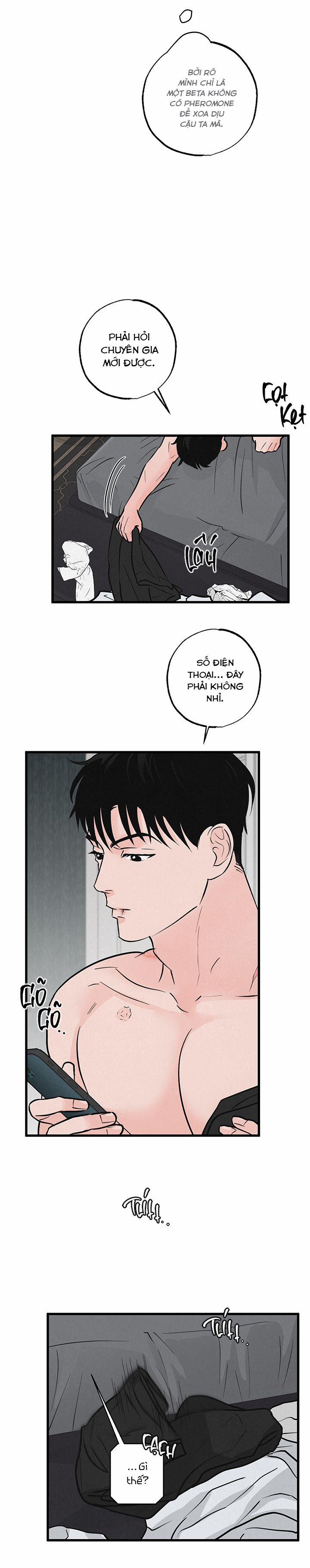 Mảnh Ghép Hoàn Hảo 7 trang 16