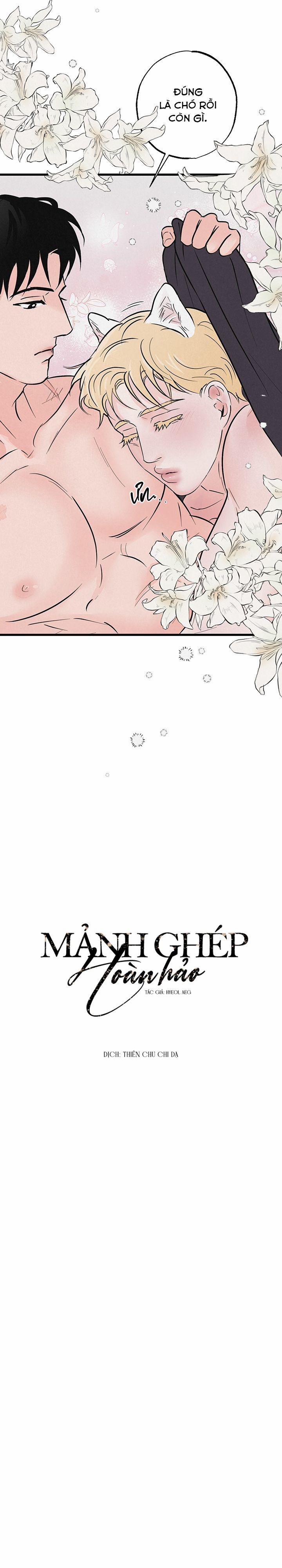 Mảnh Ghép Hoàn Hảo 7 trang 5