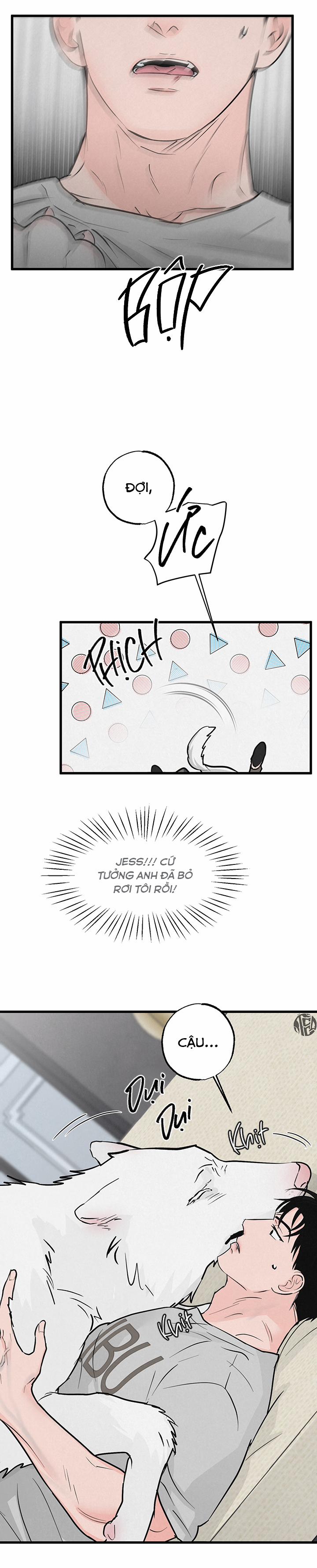 Mảnh Ghép Hoàn Hảo 8 trang 13
