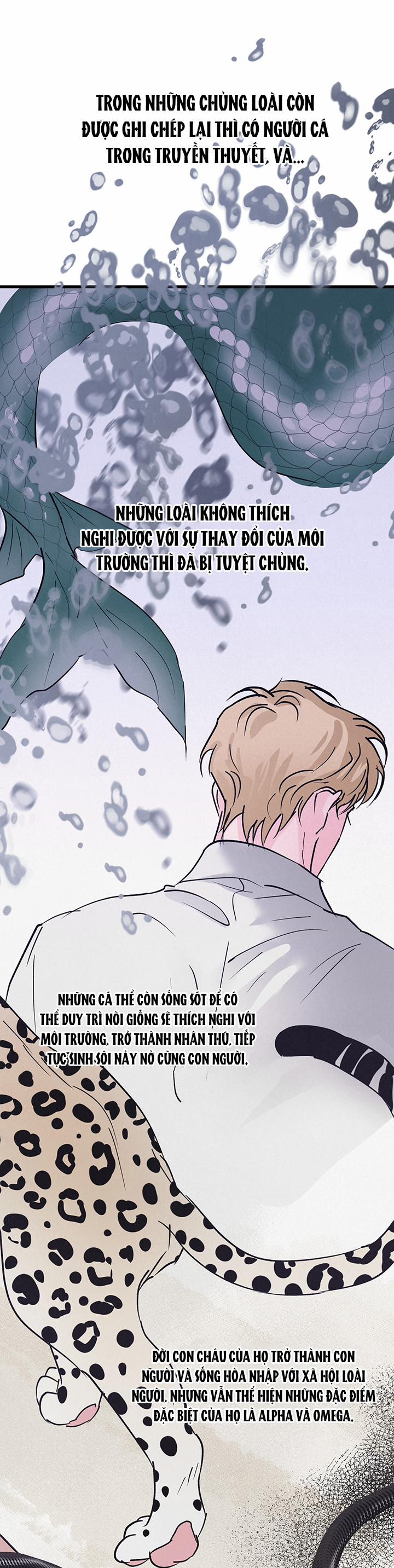 Mảnh Ghép Hoàn Hảo 8 trang 17