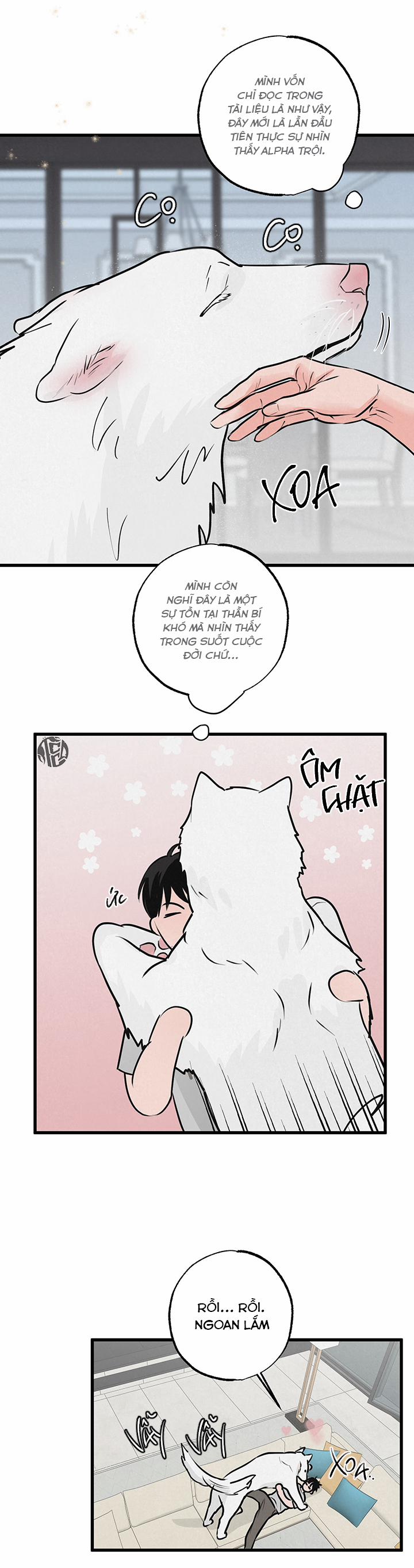 Mảnh Ghép Hoàn Hảo 8 trang 19