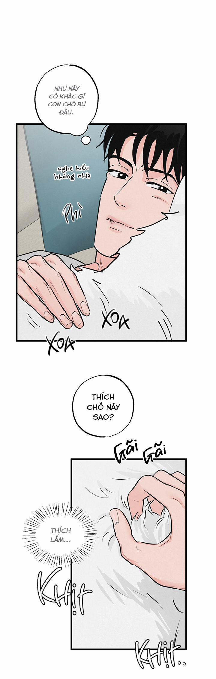 Mảnh Ghép Hoàn Hảo 8 trang 20