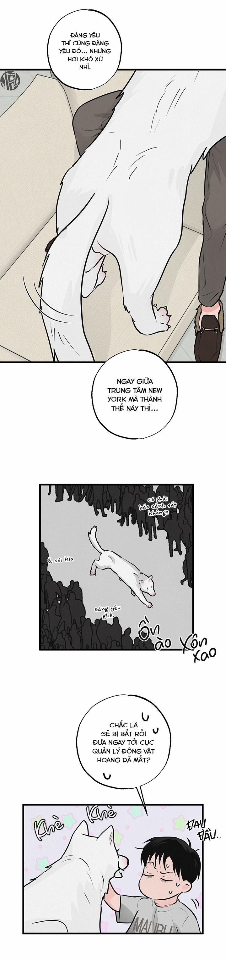 Mảnh Ghép Hoàn Hảo 8 trang 21