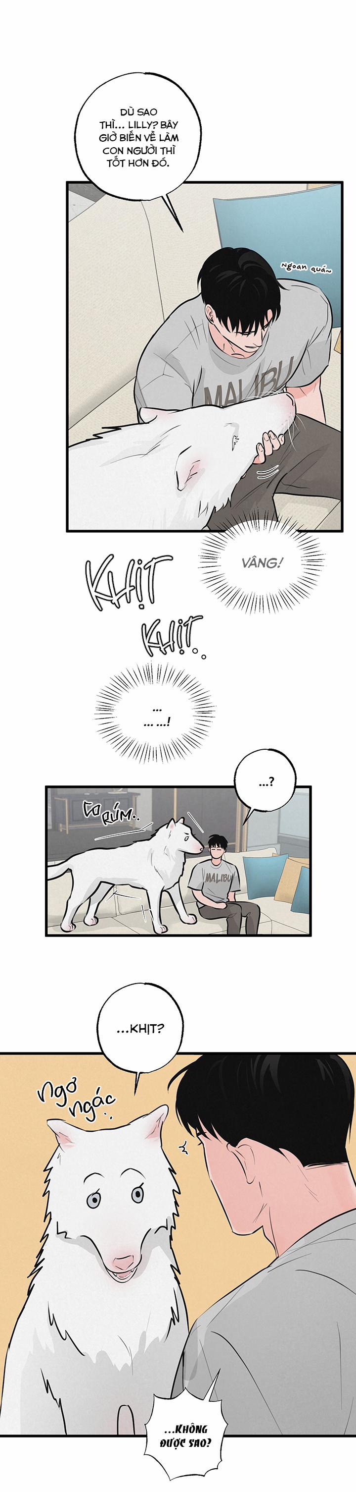 Mảnh Ghép Hoàn Hảo 8 trang 22